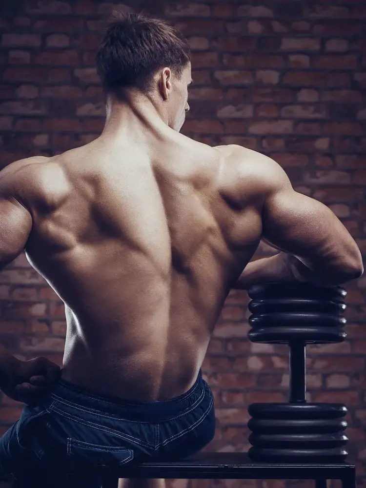 Dumbbell Back Exercises