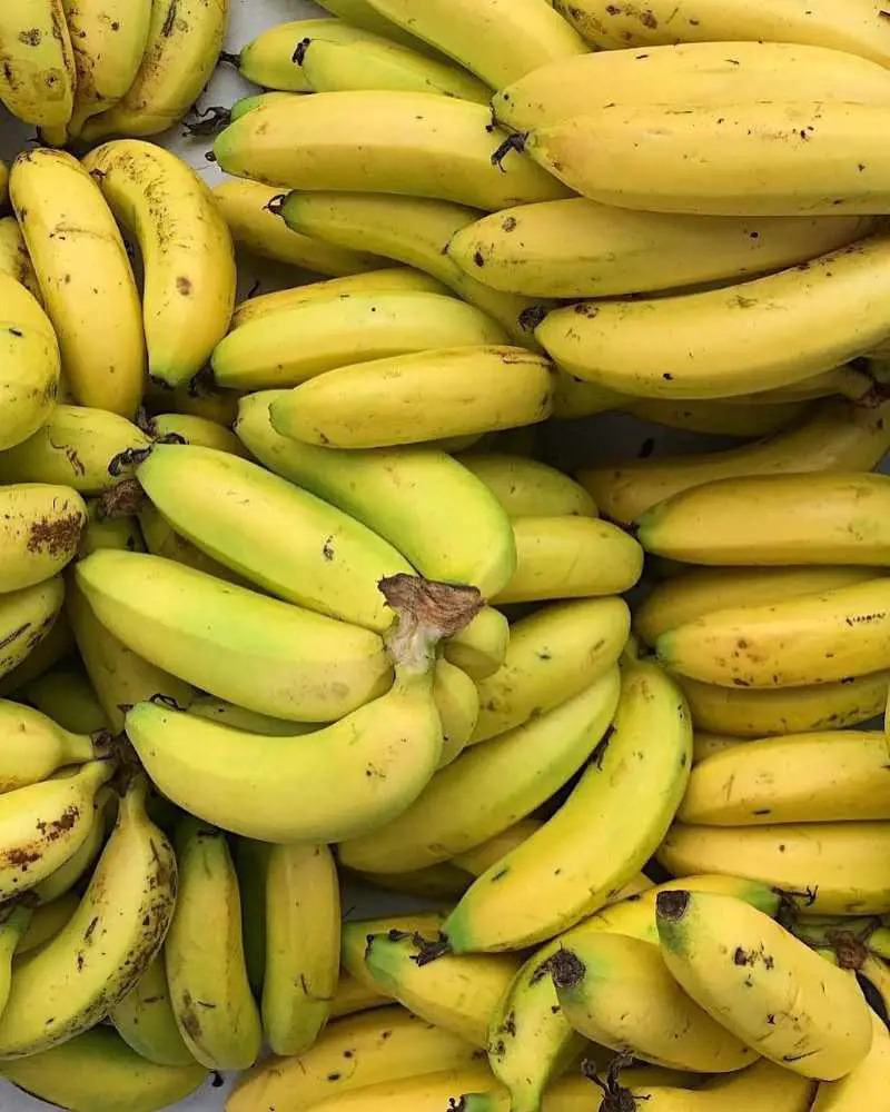 Bananas, while being low in calories, are a fiber-rich fruit that supplies a host of key vitamins, minerals, and nutrients