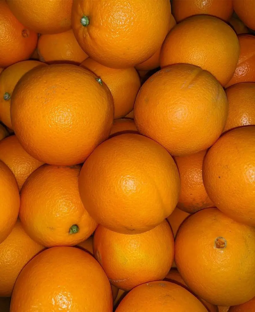 Orange, the citrus fruit is loaded abundant calcium when forfited into juice.