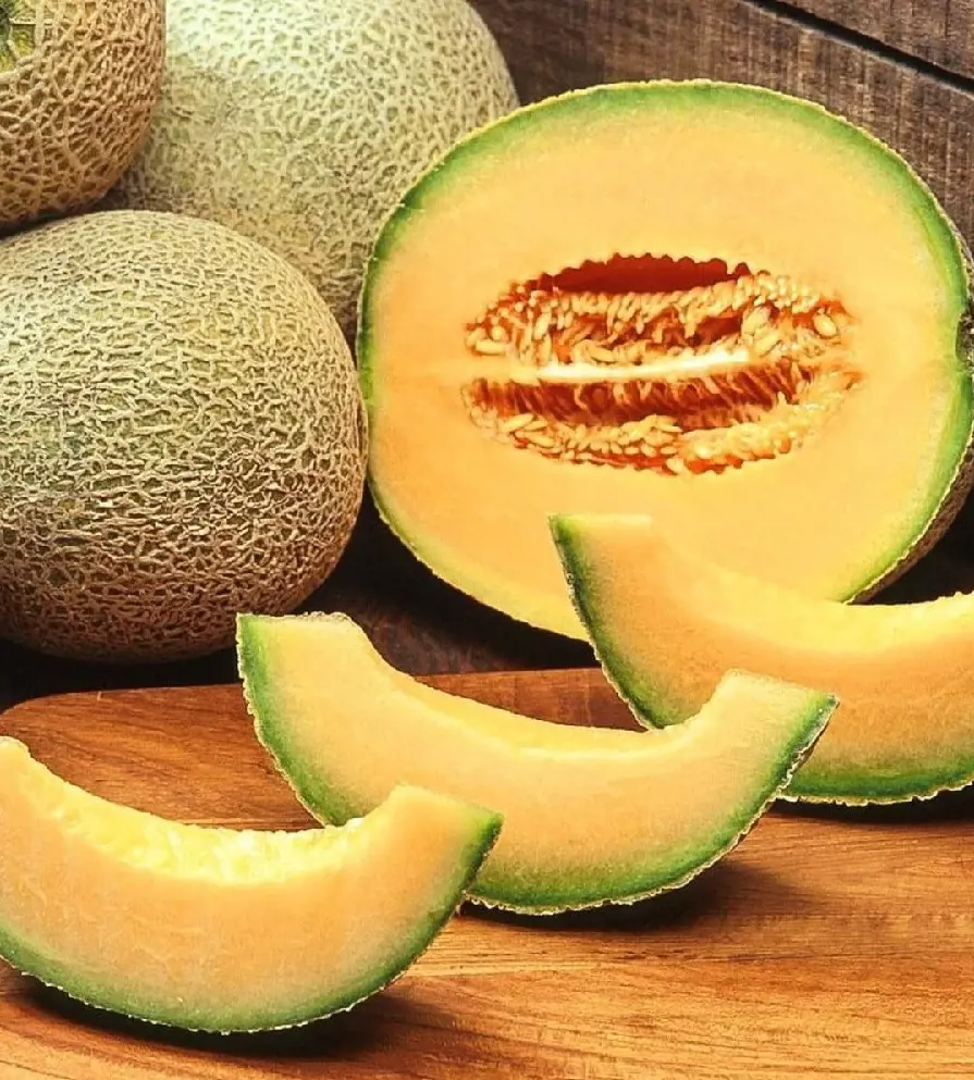 Cantaloupe is a delicious fruits used as a salad, dessert or even as a juice.