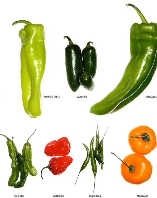 Chili Peppers are of different kinds, some are spicy while some are sour and sweet.