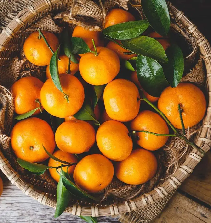 Oranges widely known to be the powerhouse of vitamine C is not the only food with rich in vitamin C.