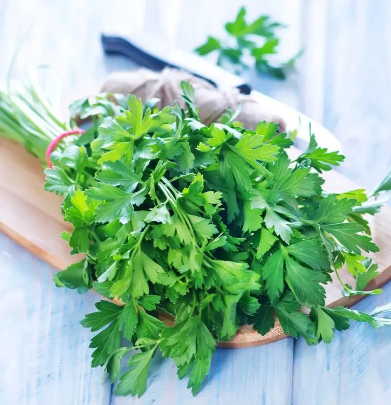 Parsley is a popular and strong cooking herb with many health benefits.