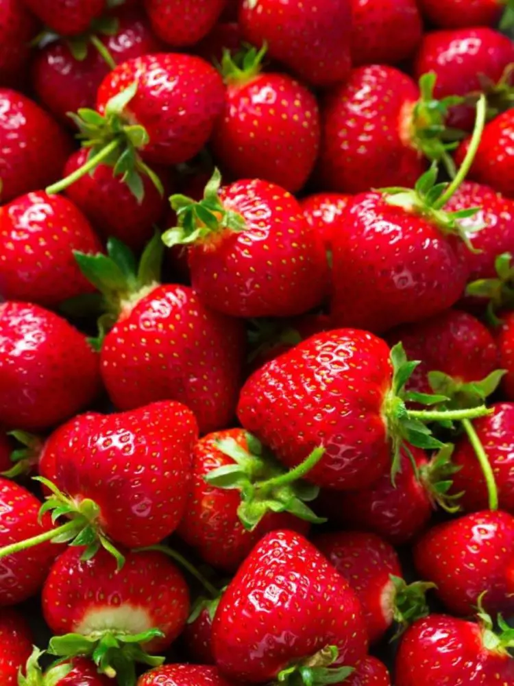 Strawberries are a sweet small red colored fruit loaded with rich vitamin C and other vital nutrients.