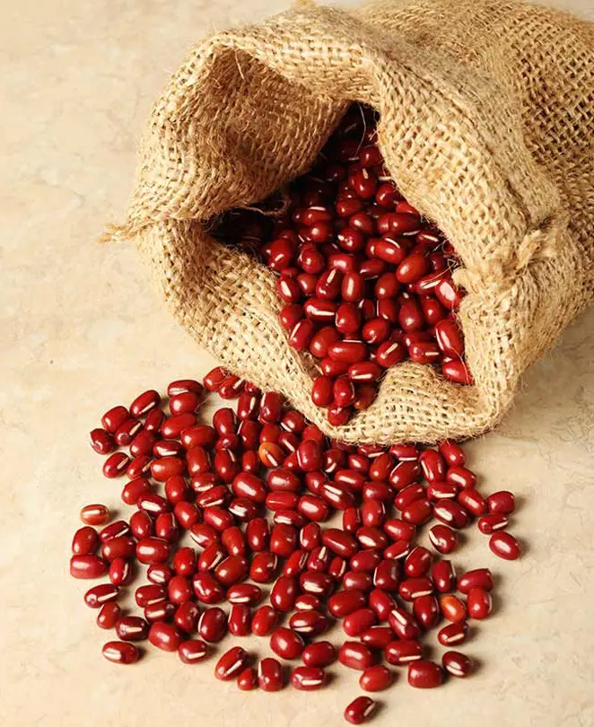 Adzuki beans, which belong to the Fabaceae family, are rich in protein, fiber, and many other nutrients