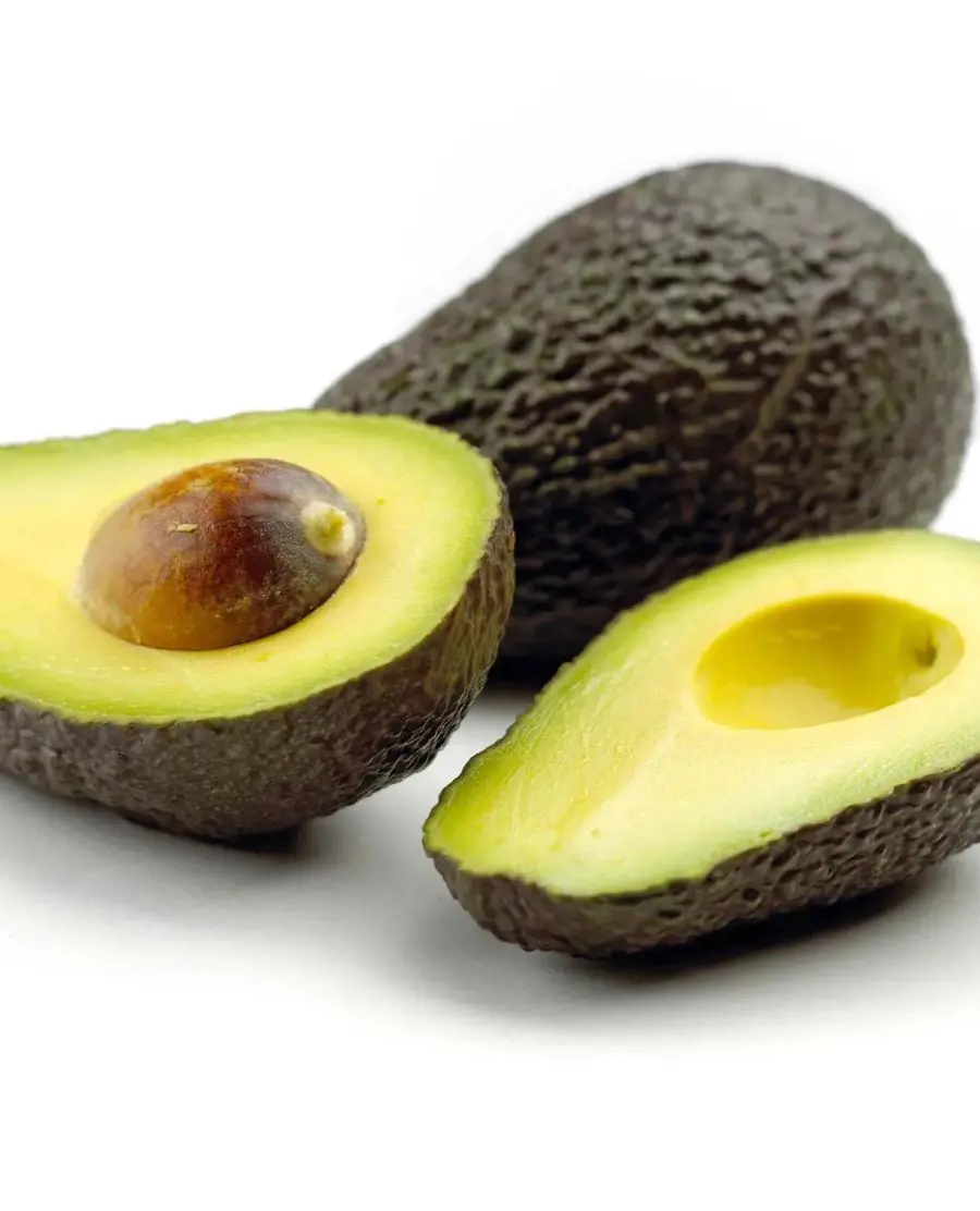 Avacado, a native to the Americas, is a medium-sized, evergreen tree in the laurel family