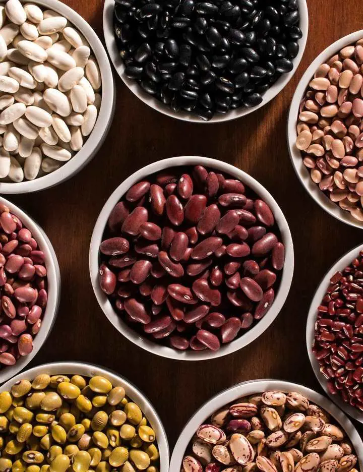 Beans are known for being good sources of both dietary fiber and plant protein