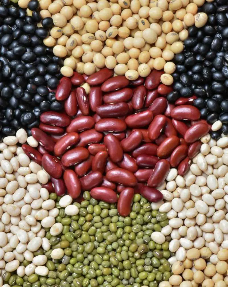 Common edible legumes include chickpeas, beans, lentils, peas, soybeans, and peanuts