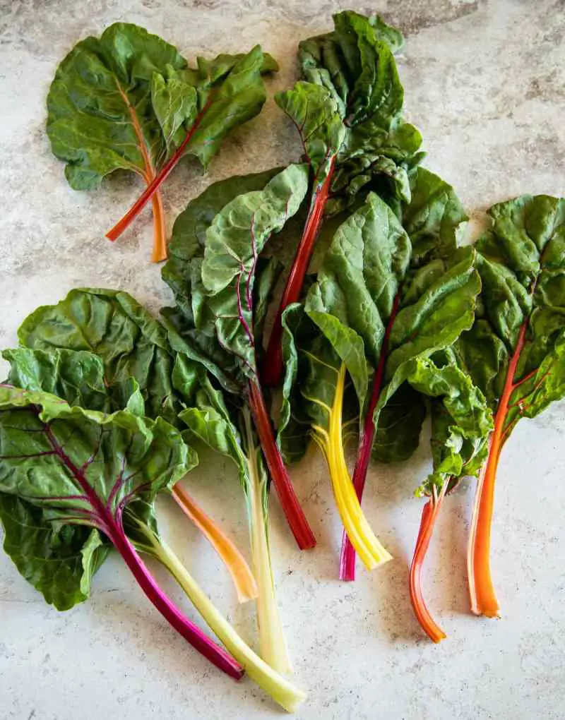 Swiss chard is a green leafy vegetable which has a low content of carbohydrates, protein, and fat